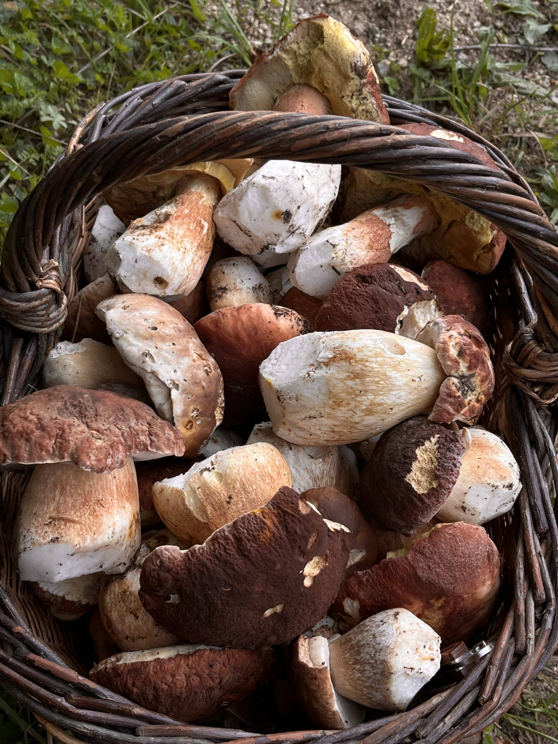 Ahmed utilise toujours des produits frais locaux et de notre potager pour les fruits et légumes, de la viande bio en provenance d'Auvergne,