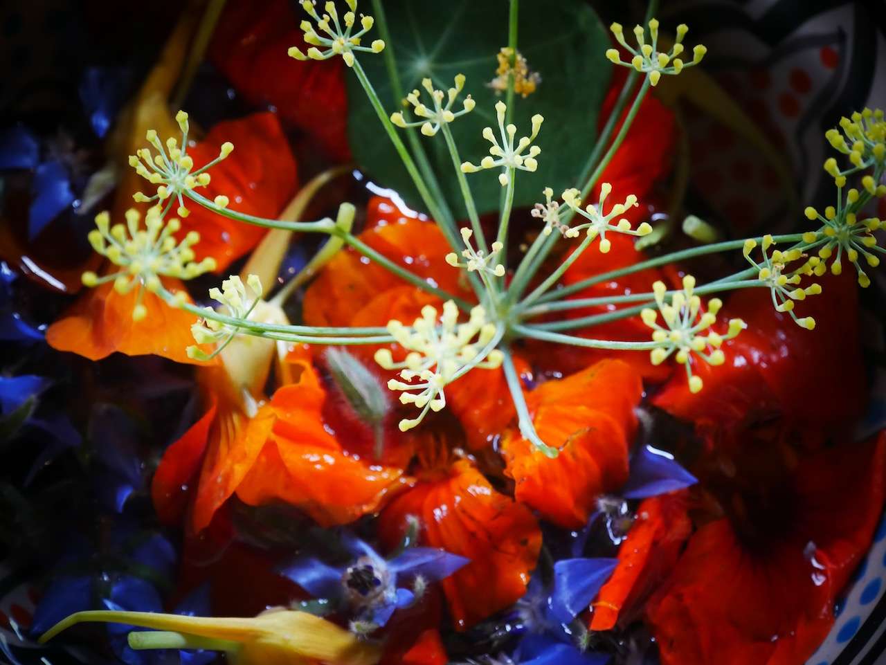 où il prend beaucoup de plaisir à vous concocter des plats colorés et savoureux.