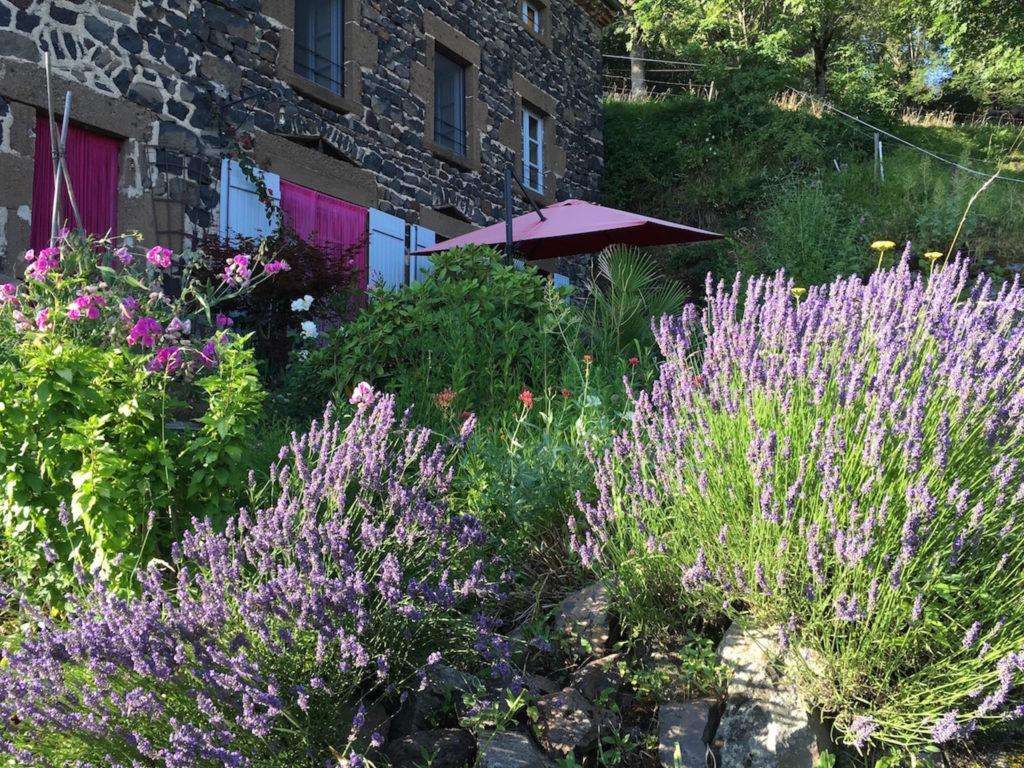 Front garden of the house in the summer