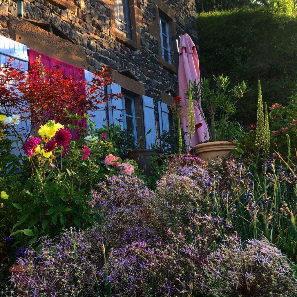 jardin sous la lumière du soir