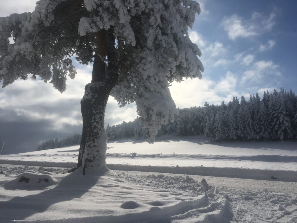 Col de Peyre Taillade