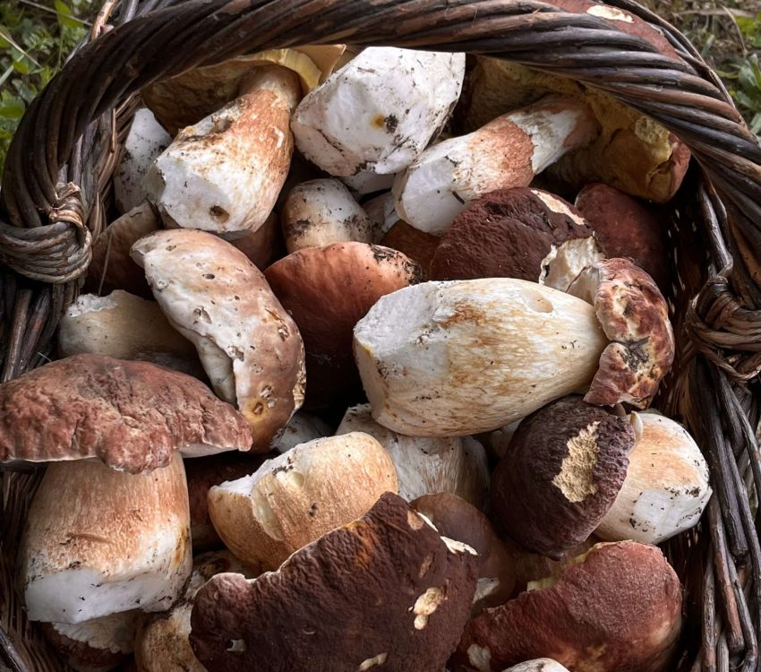 Ahmed utilise toujours des produits frais locaux et de notre potager pour les fruits et légumes, de la viande bio en provenance d'Auvergne,