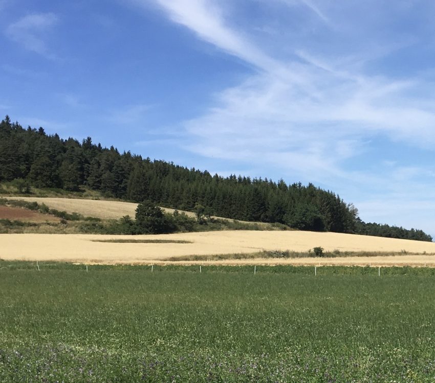 Wandelen in de Haute Loire