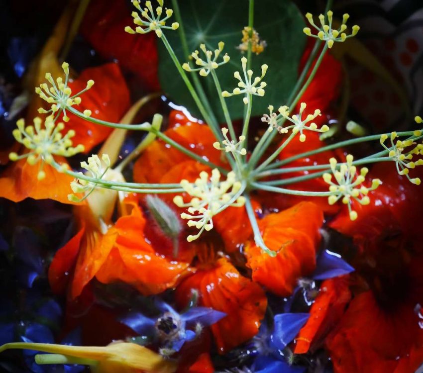 His surprising dishes are colourful and tasteful.