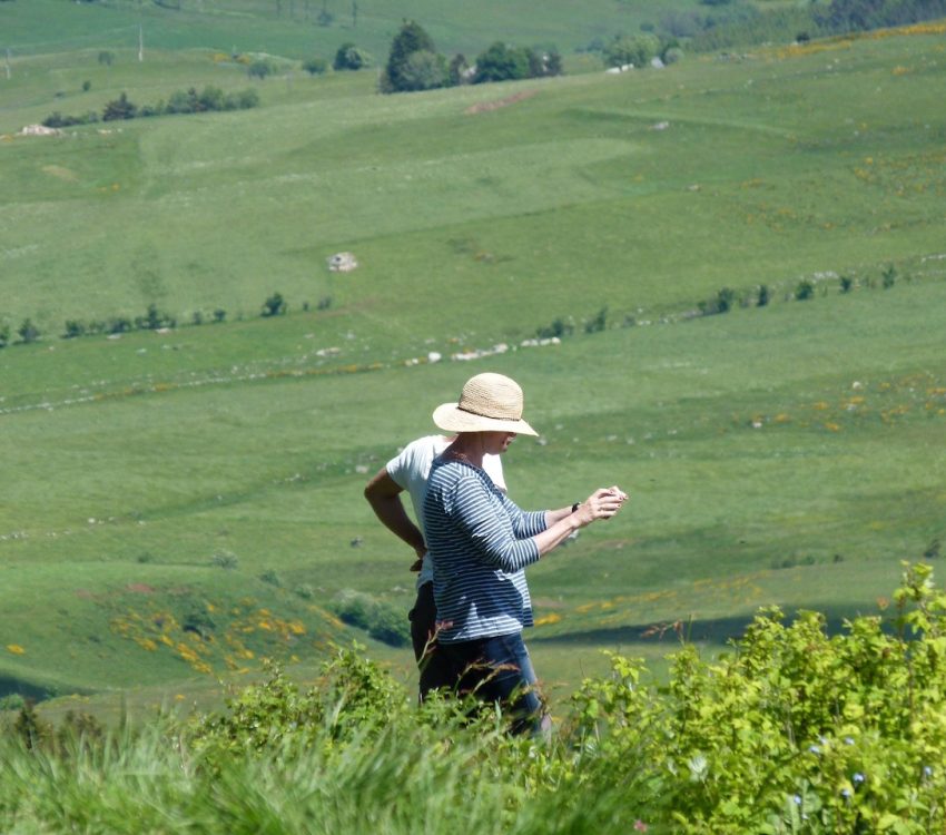 mont mezenc groen